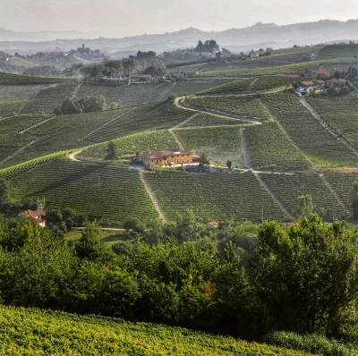 Thumbnail cata de vinos "La visión de conjunto" en el corazón de Barolo, en Costa di Bussia