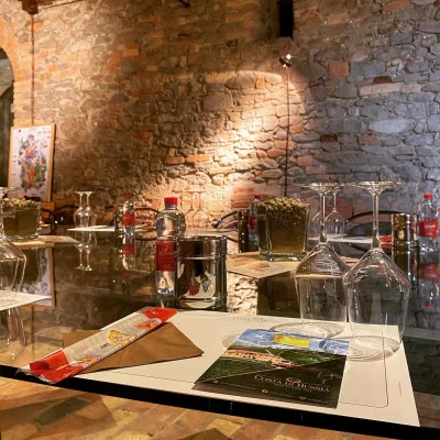 Thumbnail die Weinprobe "Der Überblick" im Herzen des Barolo in Costa di Bussia