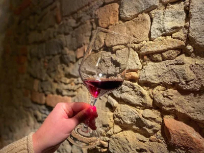 Thumbnail cata de vinos "La visión de conjunto" en el corazón de Barolo, en Costa di Bussia