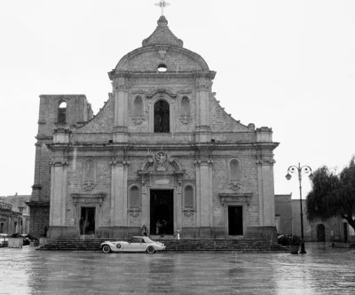 Paseo entre los viñedos