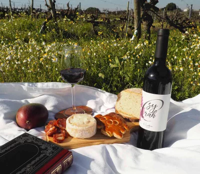 Thumbnail Picnic in Cascalheira Vineyards at ASL Tomé