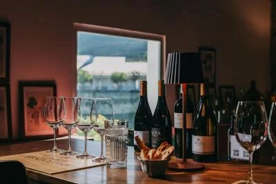Thumbnail Special Douro DOC Wine Tasting Experience at Quinta de Ventozelo