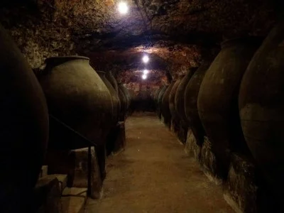 Thumbnail Tour Privado del Vino en las bodegas de Madrid
