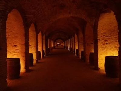 Thumbnail Tour Privado del Vino en las bodegas de Madrid