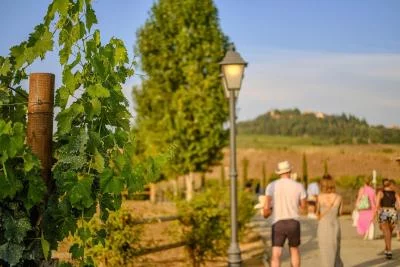 Thumbnail Chianti Delights: A Tale Of Two Wineries With A Vineyard Dinner from Florence
