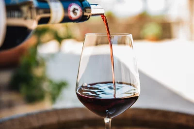 Thumbnail Agriturismo Amina: Wine Tasting in a family-run estate in the heart of Chianti Classico