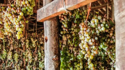 Thumbnail Weinprobe und leichtes Mittagessen in der Fattoria di Grignano in Chianti Rufina