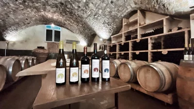 Un viñedo maravilloso