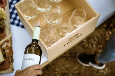 Thumbnail Visit and Wine Tasting at Herdade do Freixo