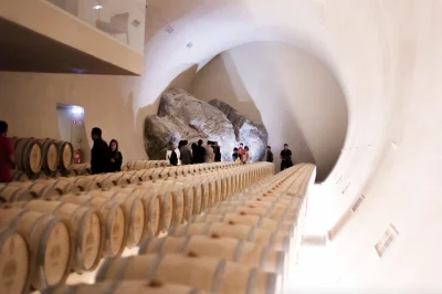 Thumbnail Visita e degustazione di 2 vini presso l'Herdade do Freixo