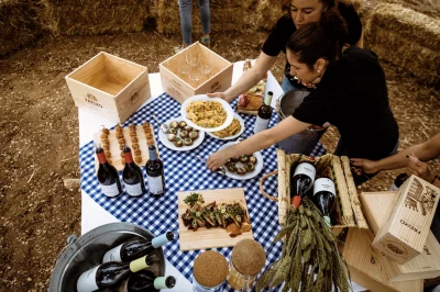 Thumbnail Visit and Tasting of 2 Wines at Herdade do Freixo