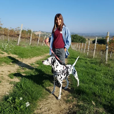 Thumbnail Degustazione alla scoperta del vino naturale presso la Piccola Cantina Rossi