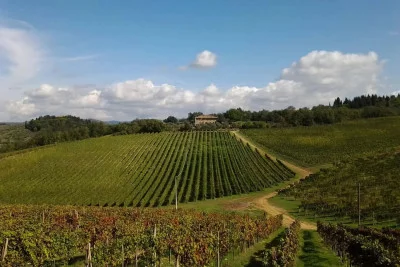 Thumbnail Wine Tour privato di mezza giornata del Chianti da Firenze