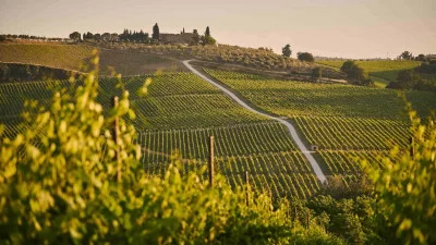 Thumbnail Private Montalcino & Brunello Weintour ab Florenz