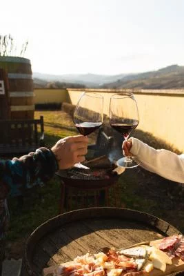 Thumbnail Degustazione di vini e tour presso la Tenuta Ballerio nell'Oltrepò Pavese