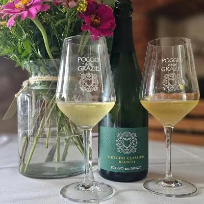 Thumbnail Sparkling Wine Tasting & Tour at Poggio delle Grazie near Lake Garda