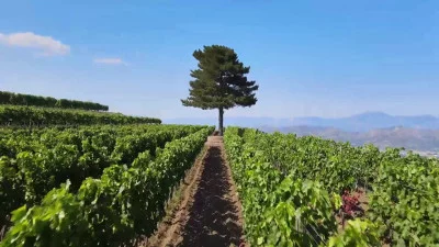 Thumbnail I Sapori della Terra Nera per un weekend unico in Sicilia