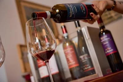 Thumbnail Art of Wine Tasting & Cellar Tour at Le Bignele in Valpolicella