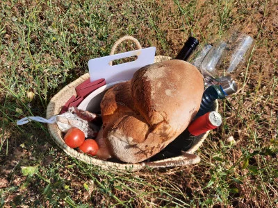 Thumbnail Picknick beim Künstler der Weinberge: Essen &amp; Wein inmitten von Kunst im Weingut Mas Blanch i Jové