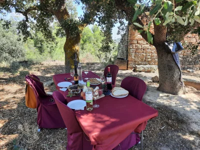Thumbnail Picnic at the Vineyards' Artist: food & wine amidst art at Mas Blanch i Jové Winery