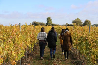 Thumbnail Picnic en las Viñas del Artista: comida y vino en medio del arte en la Bodega Mas Blanch i Jové