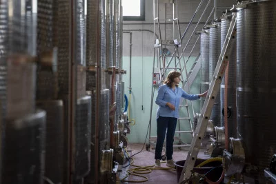 Thumbnail Visite de la cave et dégustation de vins biologiques à Tenuta Arabona