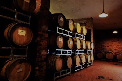 Thumbnail Visite et dégustation de vins à Dosio Vigneti à La Morra