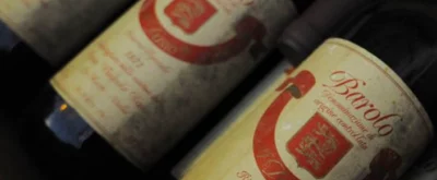 Thumbnail Premium wine tour and tasting at Dosio Vigneti in La Morra