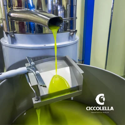 Thumbnail Visita a la Almazara y aperitivo de aceite de oliva en Frantoio Ciccolella