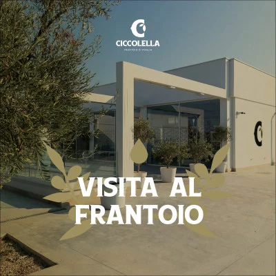 Thumbnail Ölmühlentour und Olivenöl-Aperitivo bei Frantoio Ciccolella