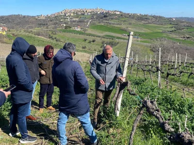 Thumbnail Besichtigung, Wein- und Olivenölprobe im Weingut Claudio Cipressi