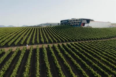 Thumbnail Degustazione di vini pregiati e formaggi regionali presso Quinta da Almiara