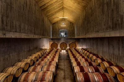 Thumbnail Dégustation de vins et de délices régionaux à Herdade Torre de Palma