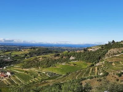 Thumbnail Valpolicella Amarone Wine Experience from Verona & Visit to a Historic Village