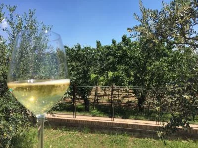 Thumbnail Soave Wine Tour from Verona – White Wine and Medieval Village Experience