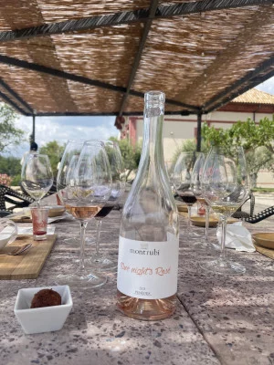 Thumbnail Penedès Exquisite Luxury Wine and Cellar Tour from Barcelona