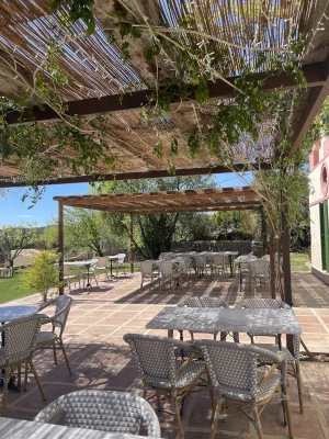Thumbnail Penedès - Excursion luxueuse et exquise dans une cave à vin au départ de Barcelone