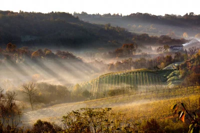 Thumbnail Prosecco wine tasting experience en la Bodega Le Manzane