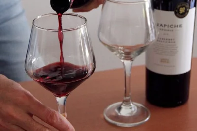 Thumbnail Cata de vinos Malbec en grupo reducido en Buenos Aires