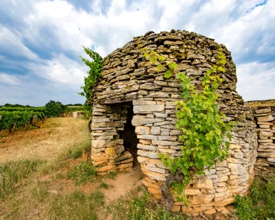 Thumbnail 3-night Burgundian wine escape at La Terre d'Or in Beaune