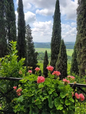 Thumbnail Führung, Weinprobe mit Bio-Wein und nativem Olivenöl extra sowie eine Platte mit Köstlichkeiten auf der Fattoria Majnoni Guicciardini
