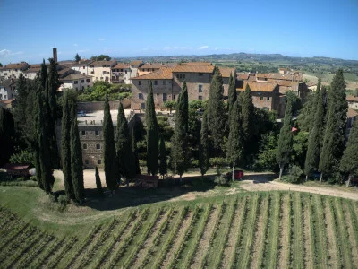 Thumbnail Visite guidée, dégustation de vins bio et d'huile d'olive extra vierge, et plateau de dégustation à la Fattoria Majnoni Guicciardini