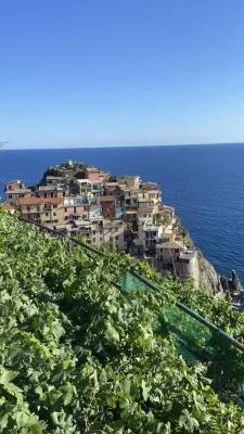 Thumbnail Passeggiata tra le vigne di Manarola e degustazione dei vini delle Cinque Terre