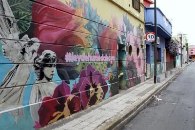 Thumbnail Kleine Gruppe Malbec Weinprobe und Urban Art Tour in Palermo, Buenos Aires