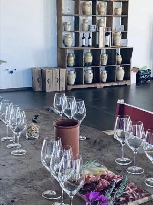 Thumbnail Paseo por el viñedo y cata de vinos en Vigneti Reale en Salento