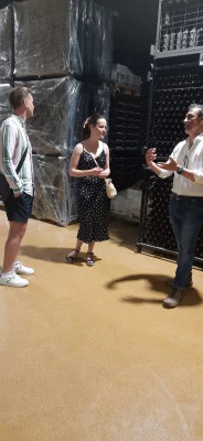 Thumbnail Private Weingut-Tour und Mittagessen in Toledo in der Nähe von Madrid