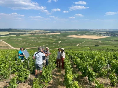 Thumbnail Discovery Champagne Experience and Tasting in Mutigny