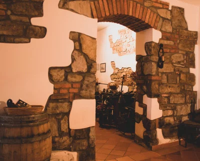 Thumbnail Relajada experiencia de cata de vinos en la Bodega Pintar
