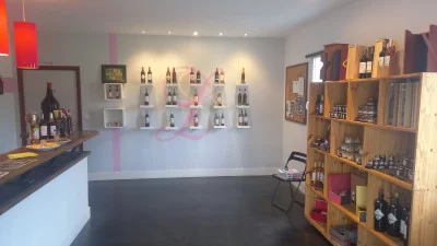 Thumbnail VIP tasting for two in one of France's oldest vineyards