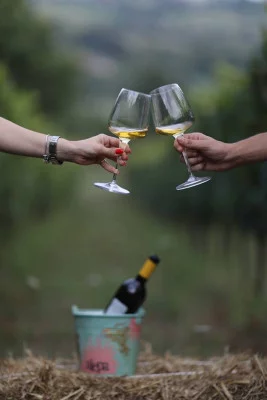 Thumbnail Degustazione a bordo piscina presso la Cantina Alepa